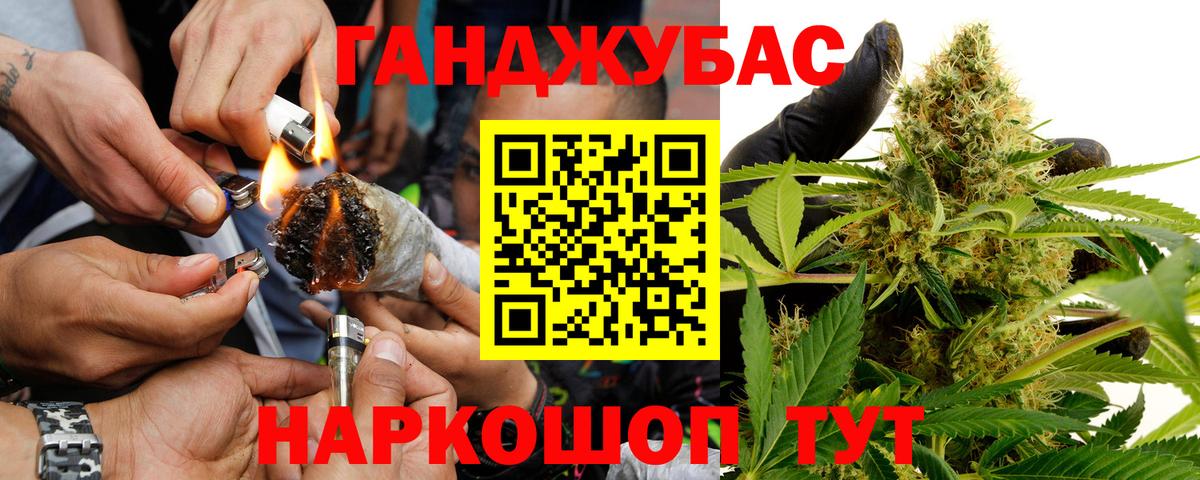 Марихуана сатива  Каннабис тримм  Вход с VPN  Канабис Amnesia  Тамбов 